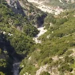 Tolis *