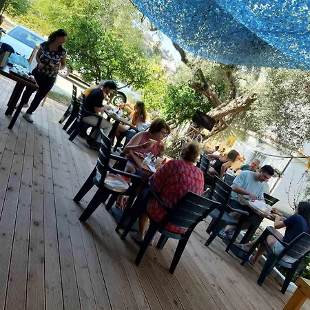 Apartment Tolis Himare