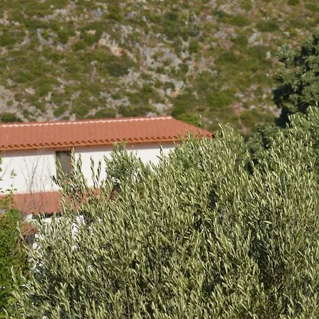 Tolis * Himare