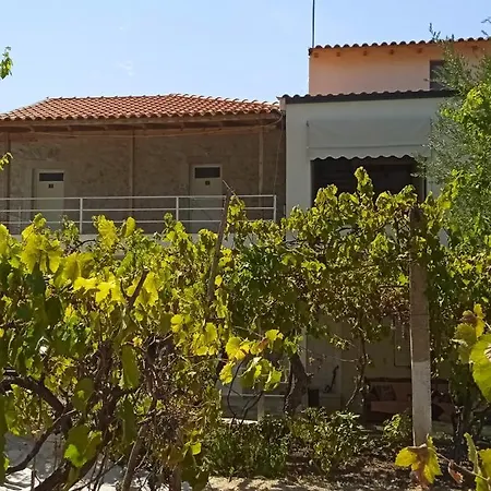 Tolis