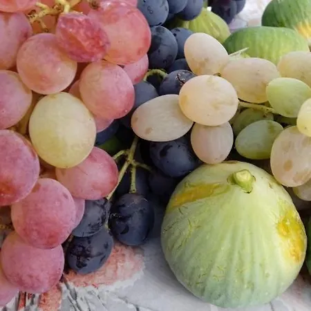 アパート Tolis *