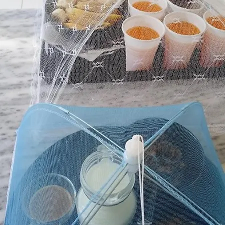 Διαμέρισμα Tolis Χειμάρρα