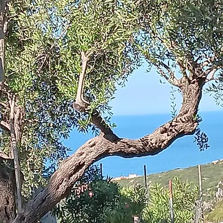 Tolis Apartament Himara