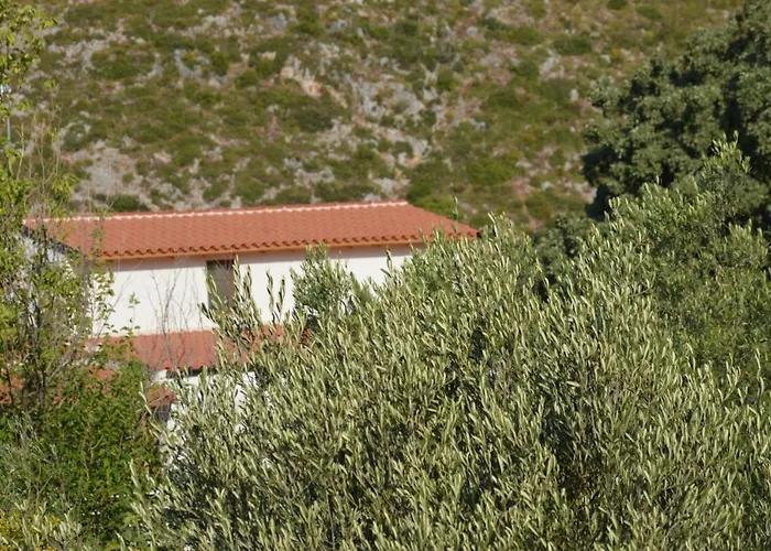 Tolis * הימארה