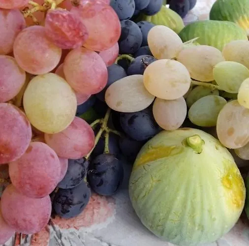 Appartamento Tolis *