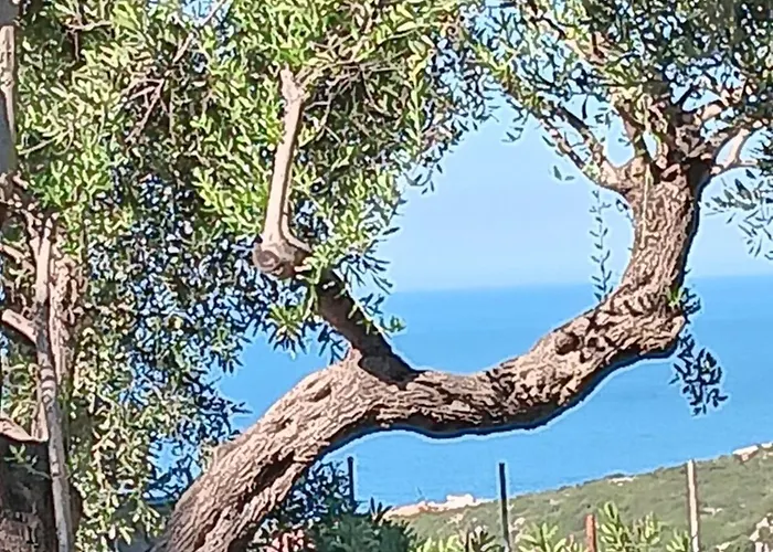 Tolis Appartamento Himare